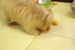 PICT0123