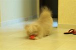 PICT0132