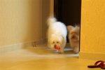 PICT0134