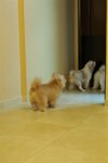 PICT0138