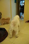 PICT0143