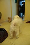 PICT0144