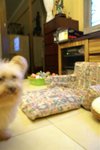PICT0149