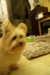 PICT0153