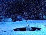 DSCF0566