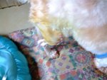 DSCF0105