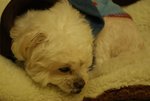 DSC00100