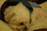DSC00101