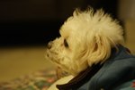 DSC00104