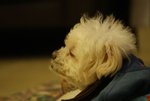 DSC00105