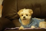 DSC00106