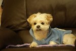 DSC00107