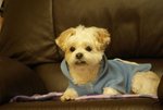 DSC00108