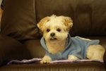 DSC00109