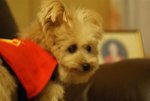 DSC00117