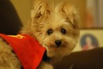 DSC00118