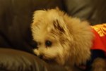 DSC00125