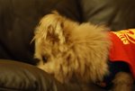 DSC00126