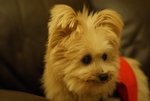 DSC00129