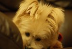 DSC00131