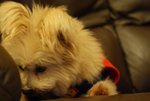 DSC00132