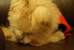 DSC00136