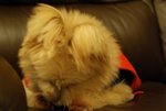 DSC00137