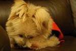 DSC00138