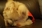 DSC00139
