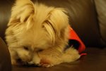 DSC00140