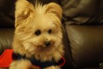 DSC00146