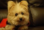 DSC00147