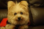 DSC00148