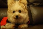 DSC00149