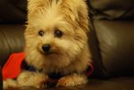 DSC00150