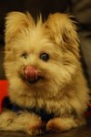 DSC00152