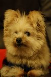 DSC00153