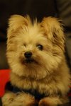 DSC00154