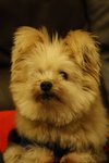 DSC00155