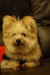 DSC00156