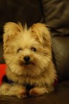 DSC00157