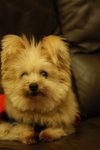 DSC00158
