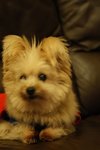 DSC00159