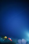 10200027
