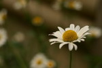 IMG_5945