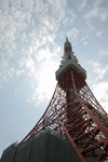 Picture 008