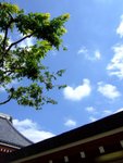DSCF0366