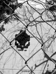 368_6829