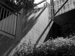 368_6863