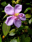 G9_10486s